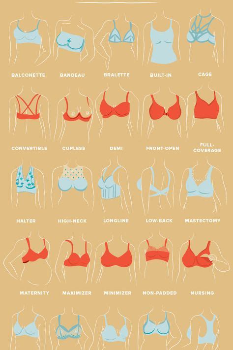 bell tits|The 10 Types of Boobs — Heres What to Know, According to Ob。